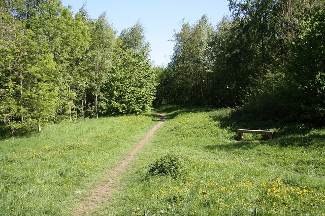 Grace Dieu Wood - geograph.org.uk - 1298600