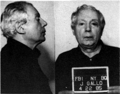 Families of the Mafia - Wikipedia