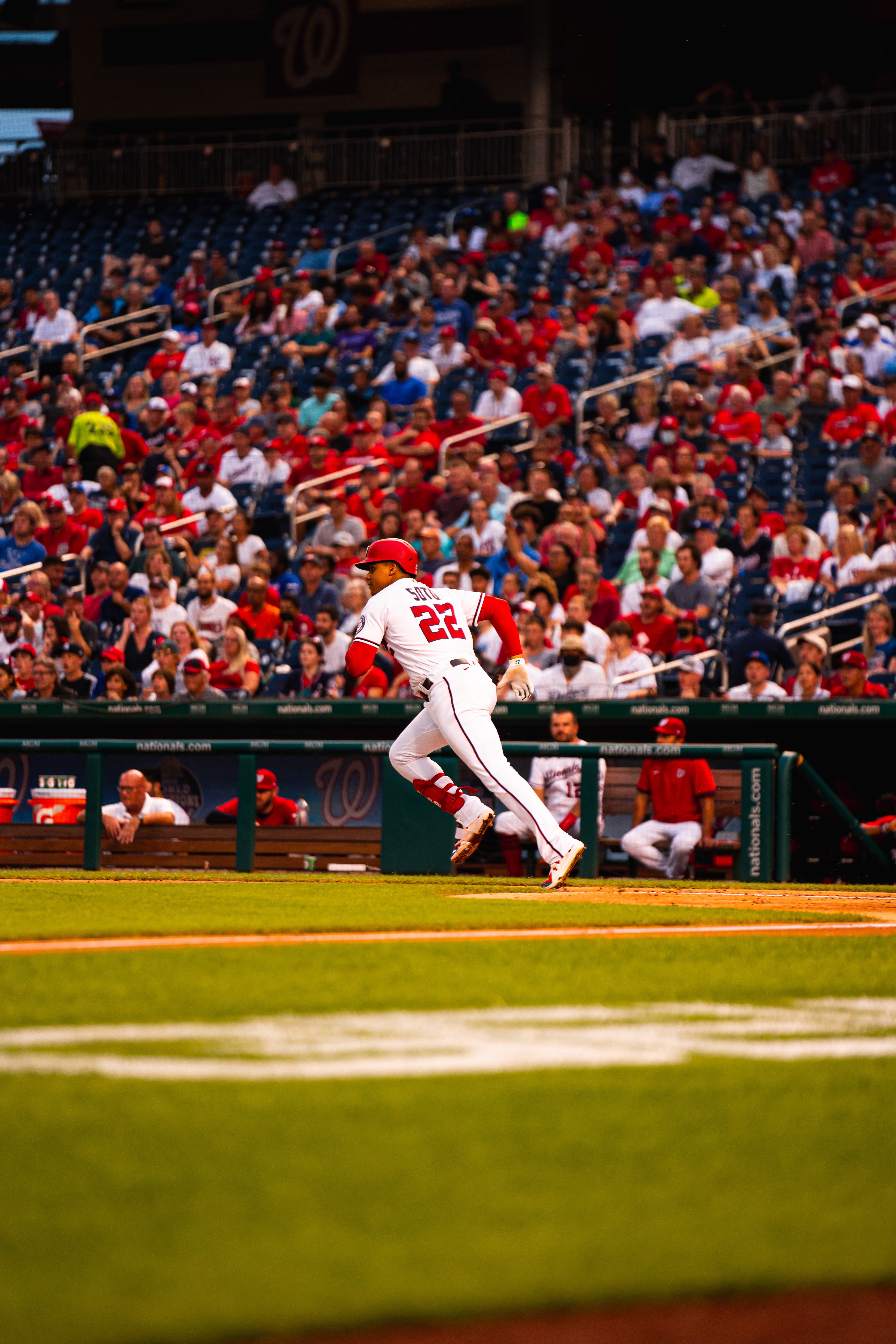 wallpaper juan soto