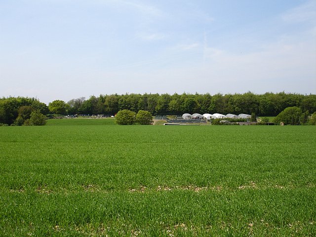 File:Lion Farm, Rawling Street - geograph.org.uk - 171004.jpg