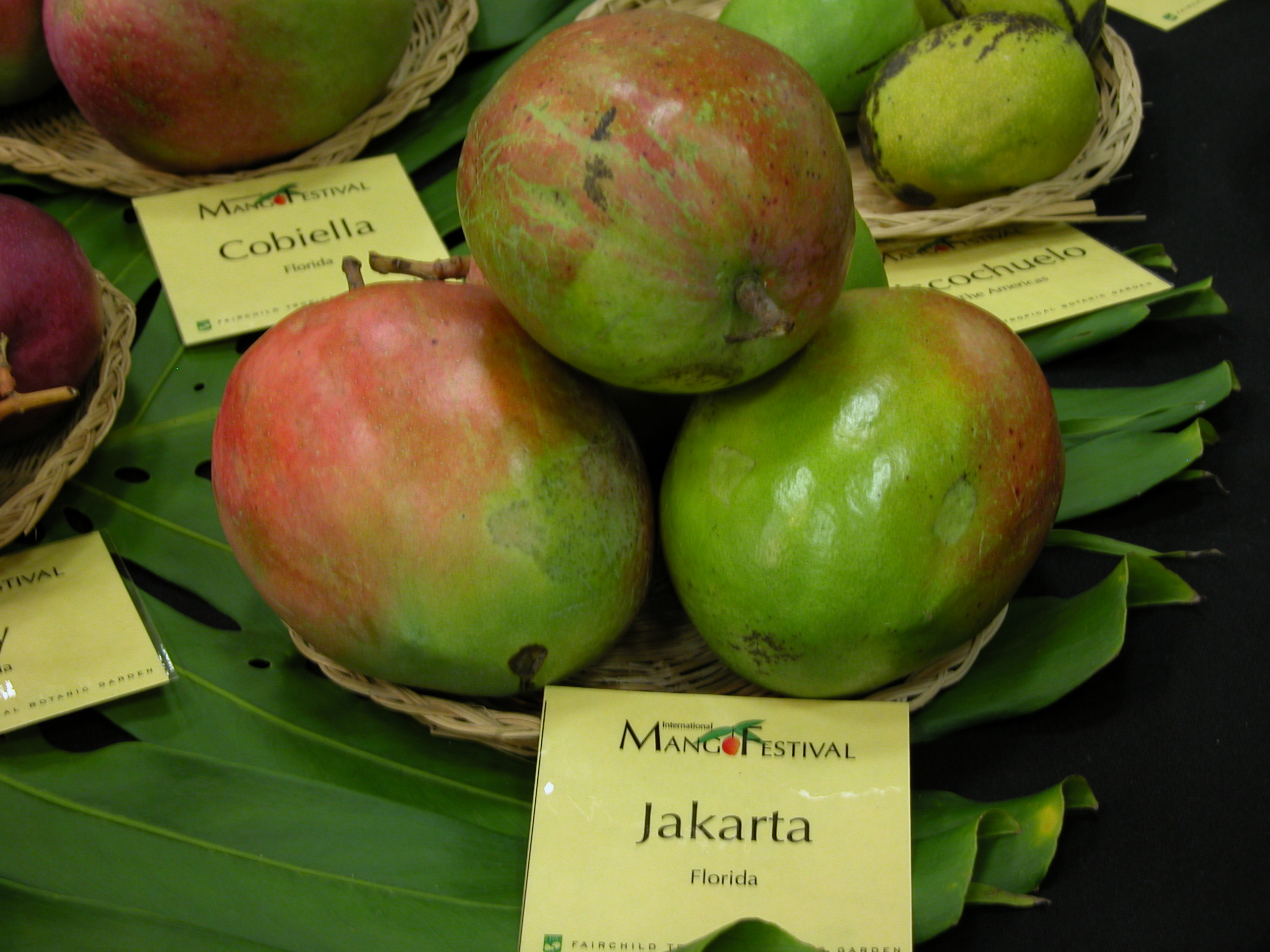 Carabao (mango) - Wikipedia