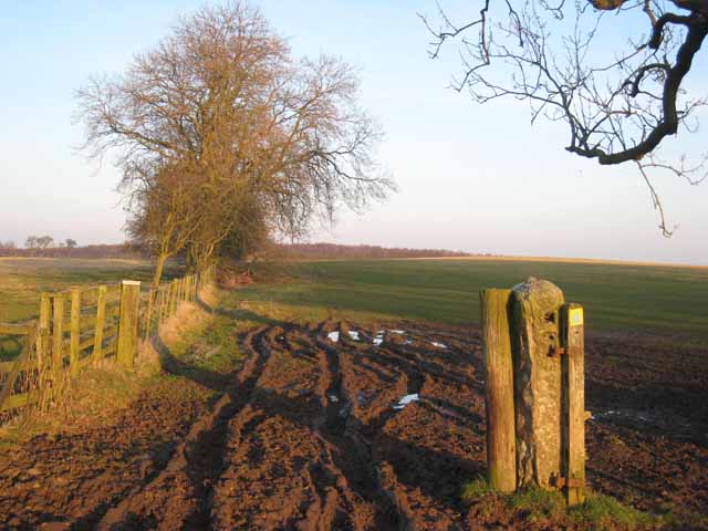 File:Mucky gateway near Penny Hill Farm - geograph.org.uk - 685227.jpg