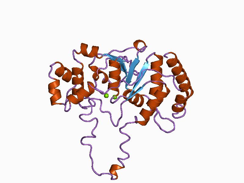 Доменные белки. Эндонуклеаза. Домен белки. Protein domain. Домены в белках.