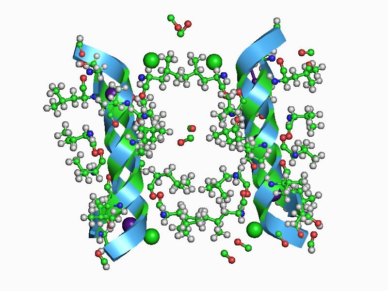 File:PDB 1av2 EBI.jpg