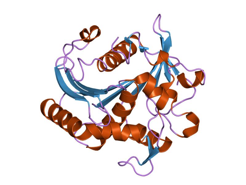 triacylglycerol lipase