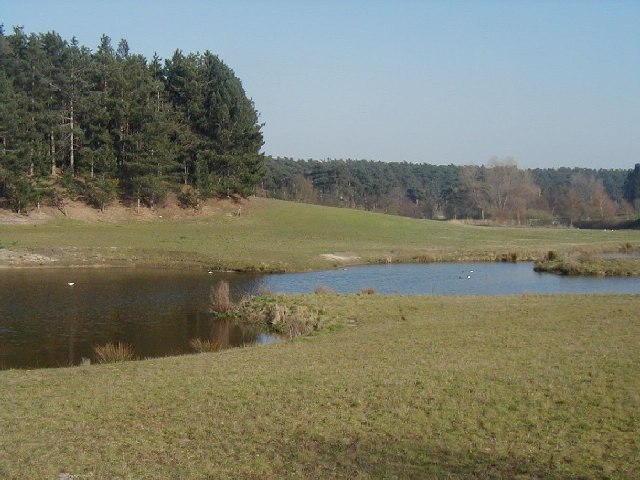 File:Paddley Water near Chillesford - geograph.org.uk - 84424.jpg