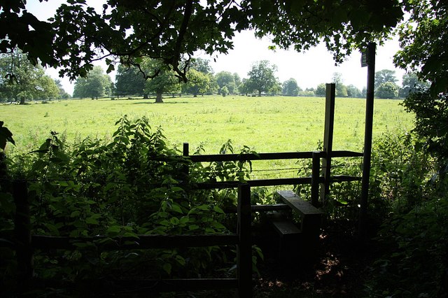 Parkland stile - geograph.org.uk - 1395625