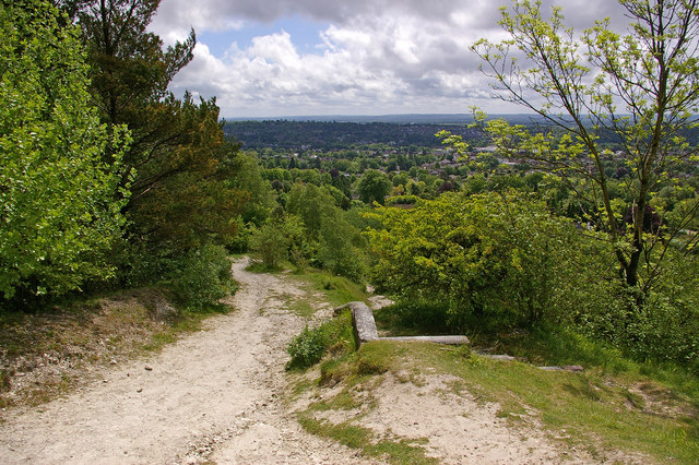 Path up Colley Hill - geograph.org.uk - 1316031