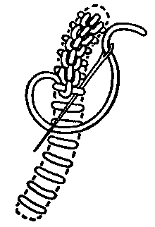 File:Raised chain band.gif