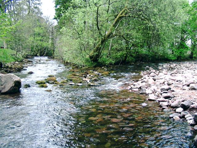 River confluence at Craig-y-nos Country Park - geograph.org.uk - 425192