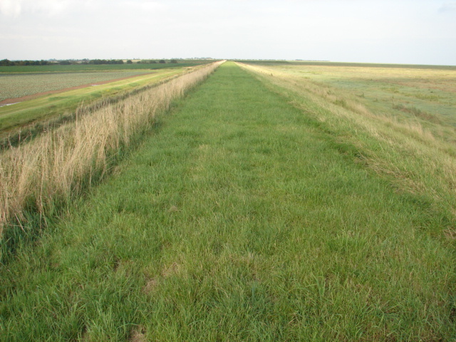 Sea bank on Frampton Marsh - geograph.org.uk - 1432531