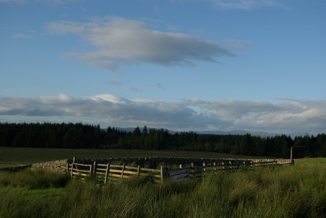 File:Sheepfold north of Standard Knowe - geograph.org.uk - 892109.jpg