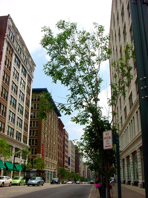 Washington Avenue Historic District