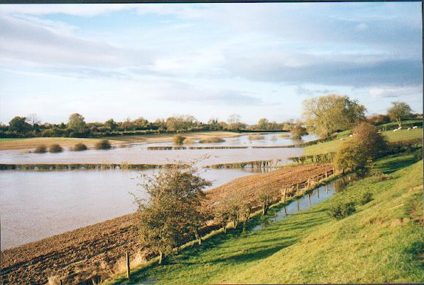 File:Swale in flood at Topcliffe. - geograph.org.uk - 126452.jpg