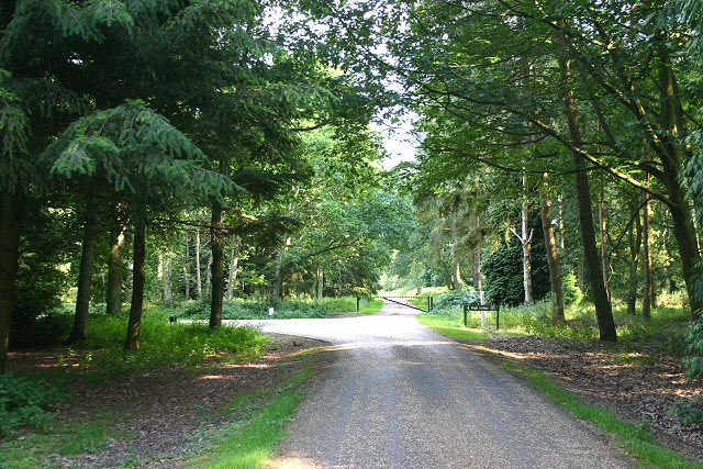 File:Toll road to High Lodge Forest Centre - geograph.org.uk - 512976.jpg