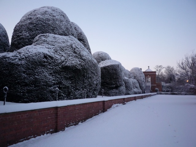 File:Topiary in front of Heslington Hall - geograph.org.uk - 1635979.jpg