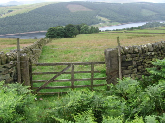 File:Towards Ladybower Reservoir - geograph.org.uk - 1396894.jpg