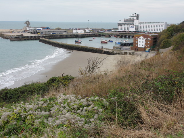 File:View of Folkestone harbour from the East Cliff - geograph.org.uk - 1579699.jpg