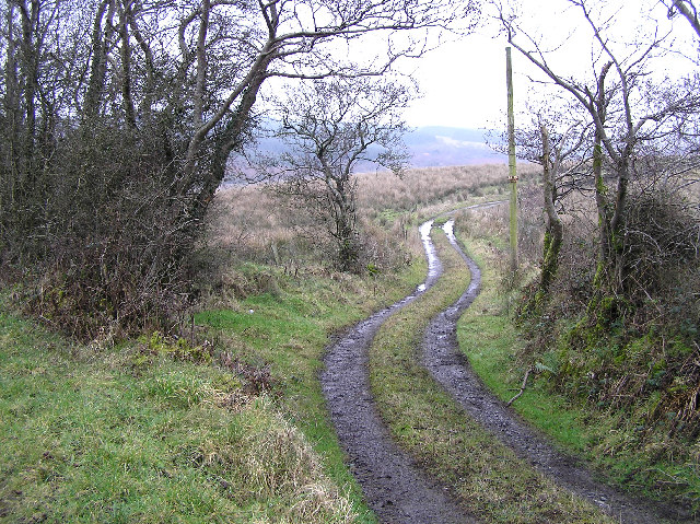 File:A winding lane. - geograph.org.uk - 115393.jpg