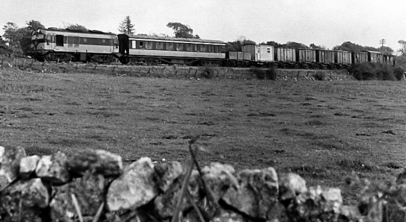 Approaching_Lynchfort_level_crossing_near_Loughrea.jpg