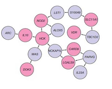 Associated loci pane. Pink genes are in IBD associated loci, blue are not.