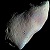 Asteroid icon.jpg