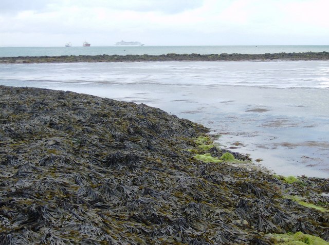 File:Bembridge Ledge - geograph.org.uk - 484653.jpg