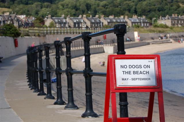 File:Burntisland beach - geograph.org.uk - 530335.jpg