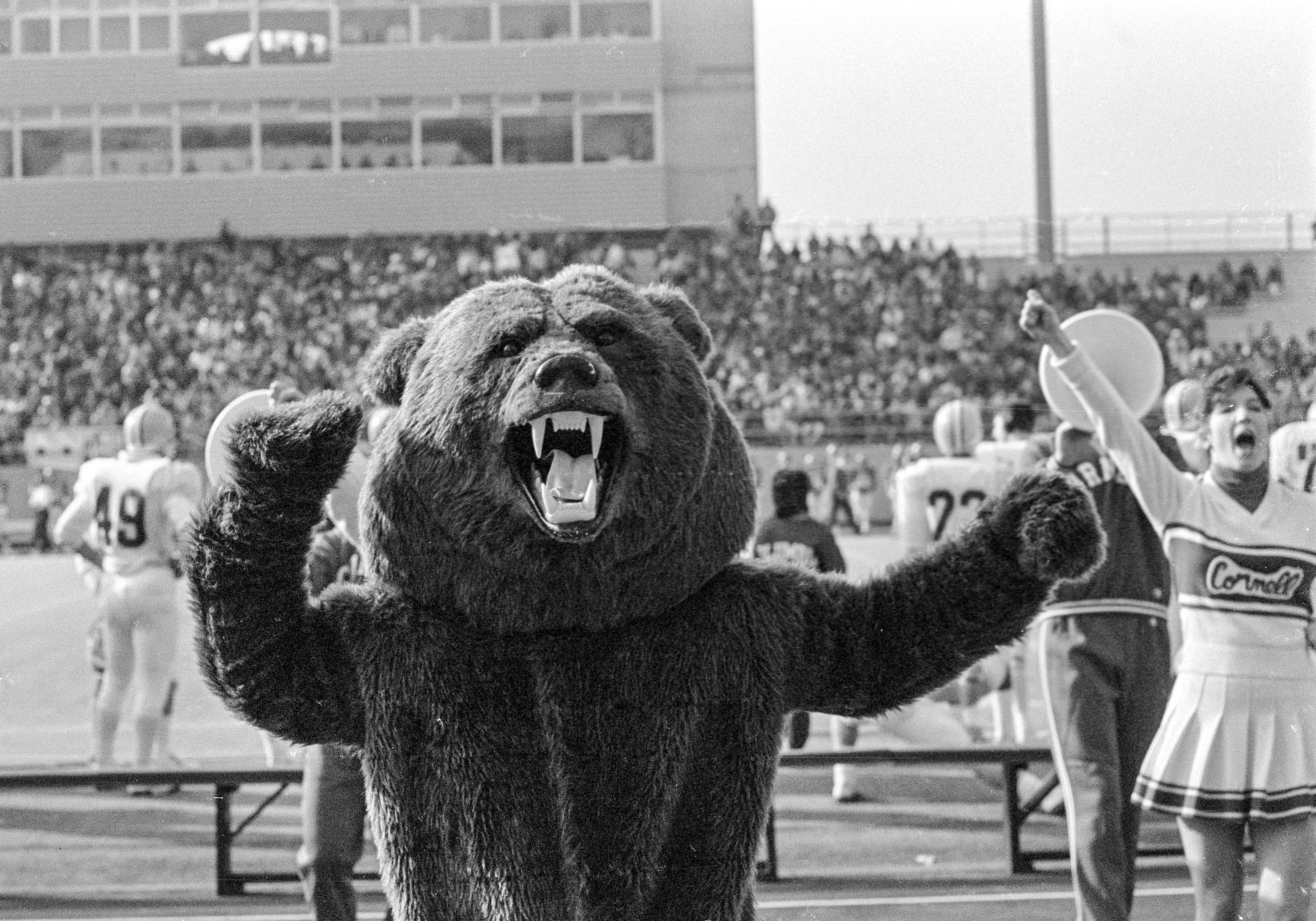 harvard university mascot