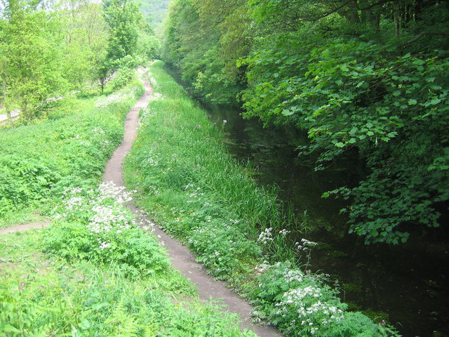 File:Cromford Canal - South of Whatstandwell - geograph.org.uk - 179263.jpg