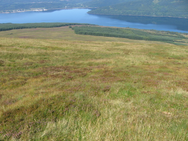 File:Cruach nan Capull hillside - geograph.org.uk - 533440.jpg