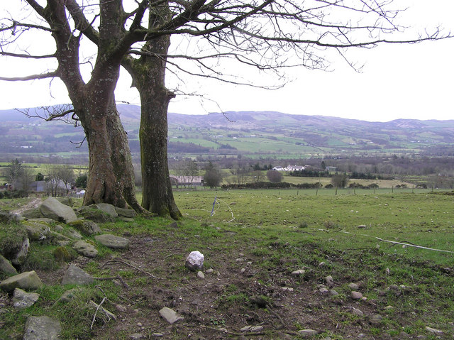 File:Culvacullion Townland - geograph.org.uk - 128376.jpg