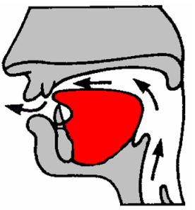 File:Dental.png