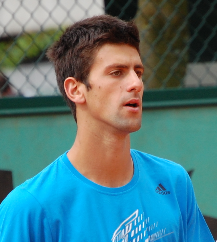 Djokovic_Roland_Garros_2009_4.JPG