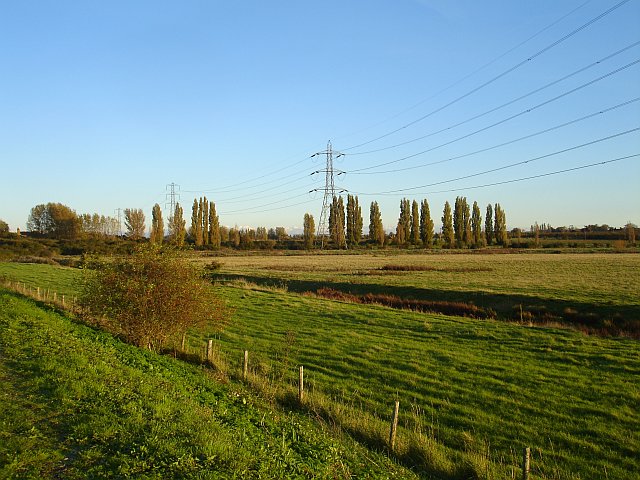 Drained marsh near Conyer - geograph.org.uk - 272810