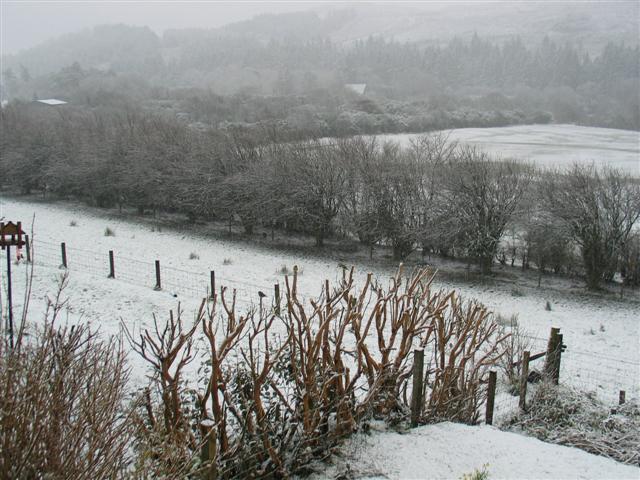 File:Falling snow viewed from Toshs Park - geograph.org.uk - 722428.jpg