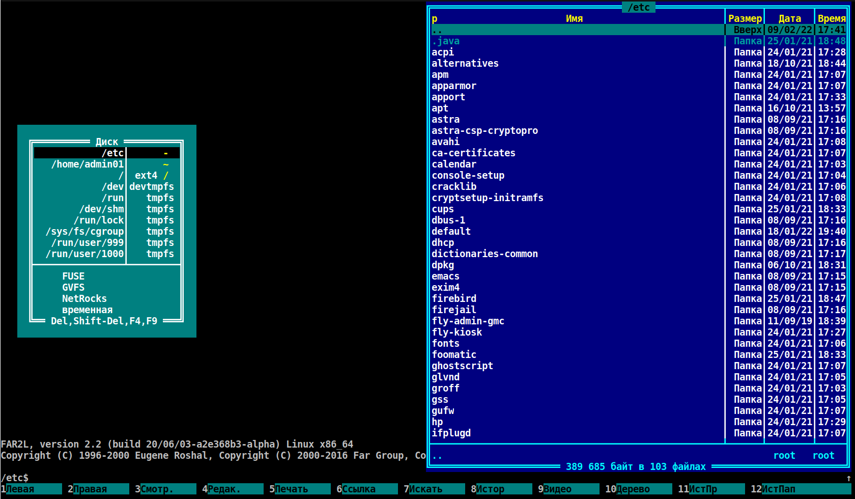 Far файловый менеджер. Far Manager Linux. Far Manager 3. Far Manager фото. Far files