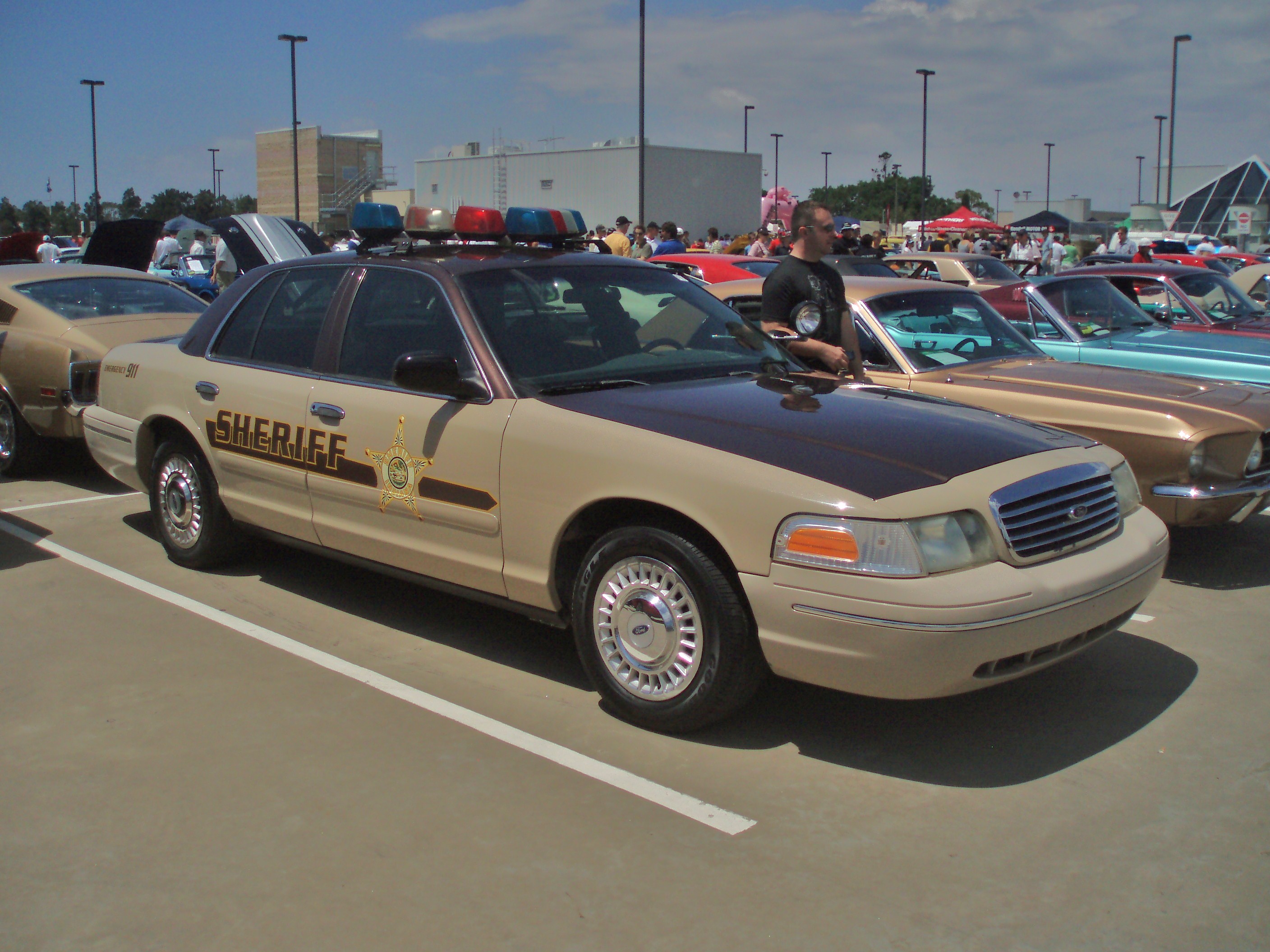 Sacramento Sheriff cars