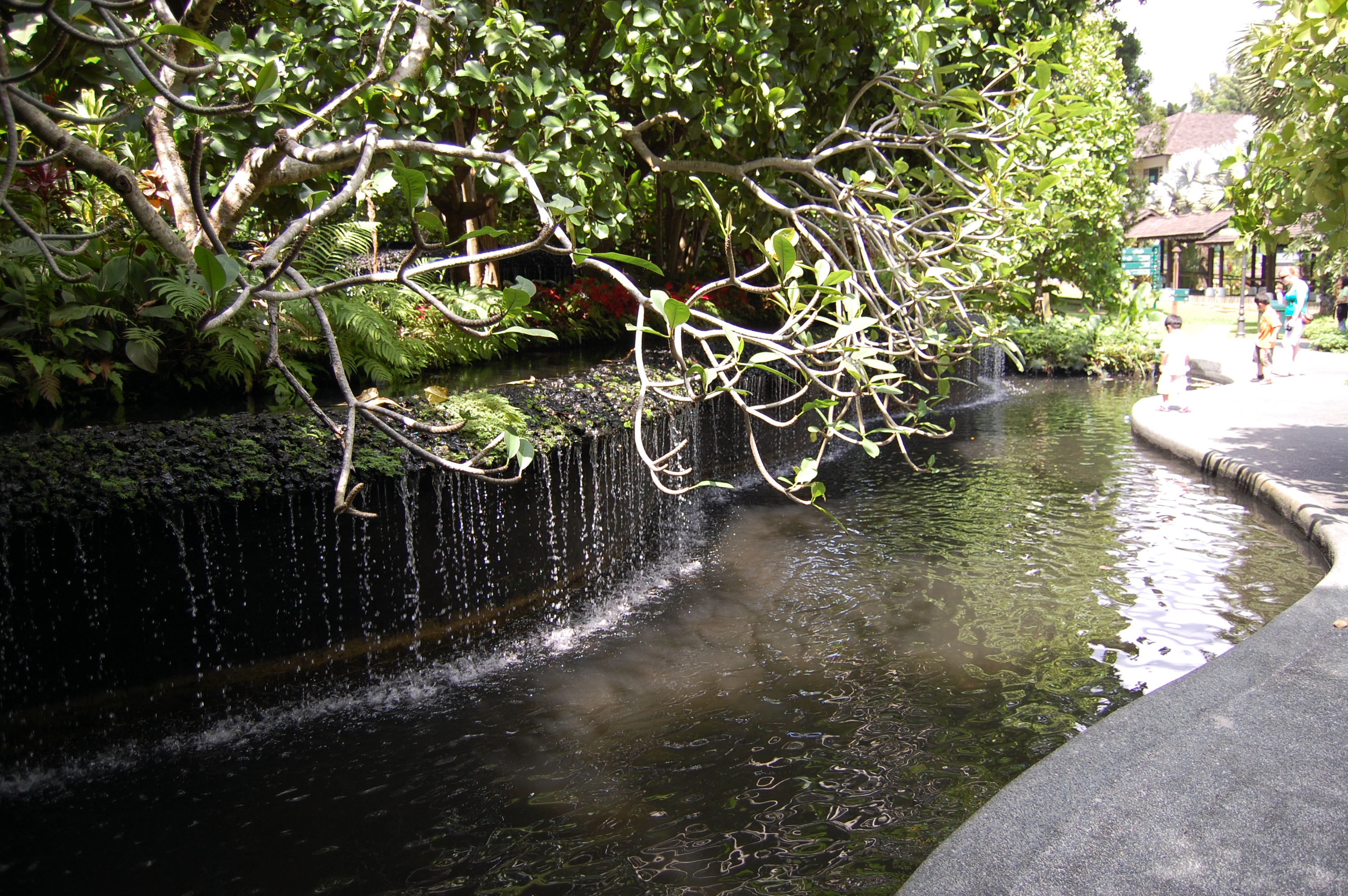 File Fountain Near The Visitor Centre Singapore Botanic Gardens