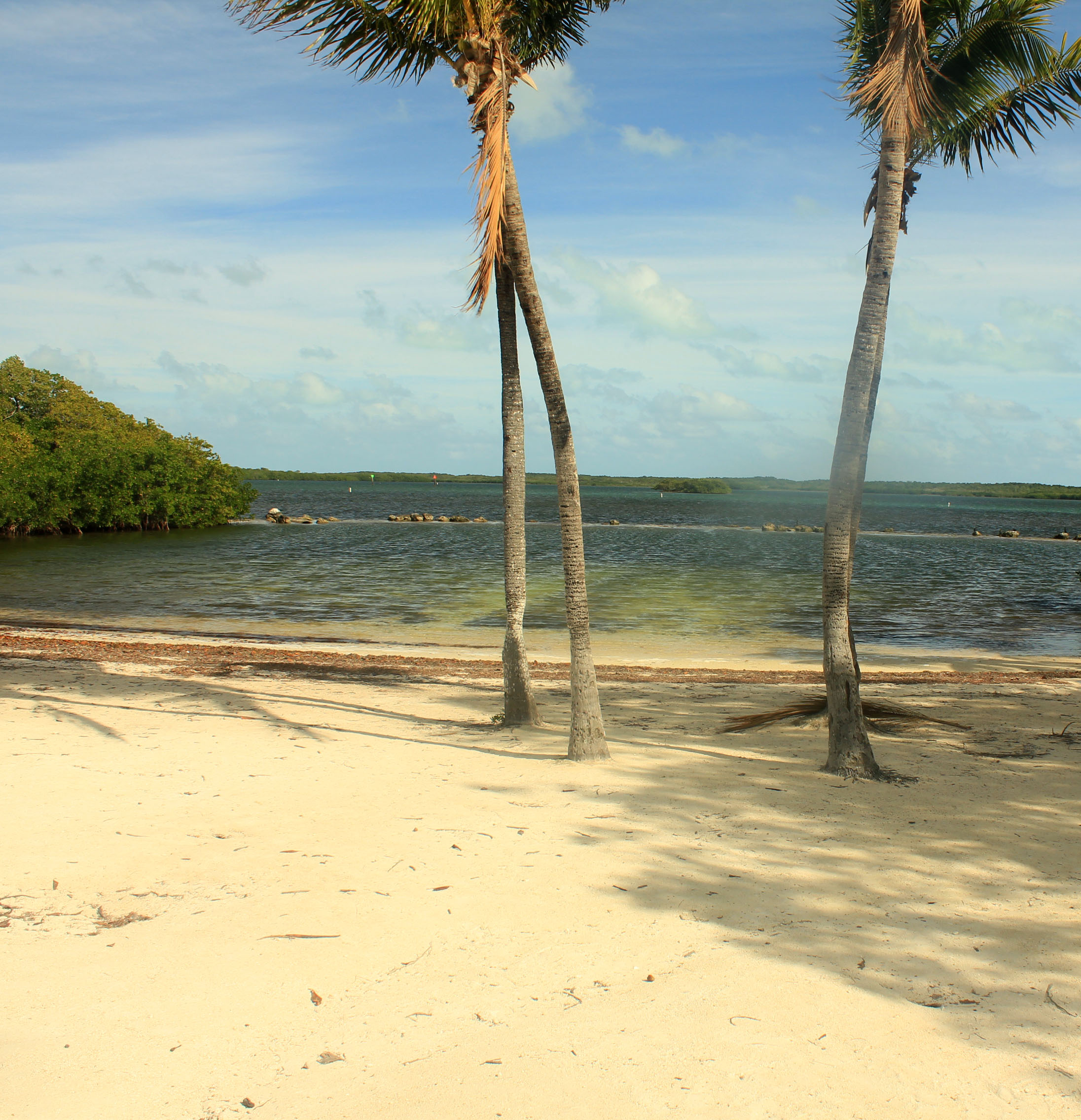 Gfp-florida-keys-key-largo-beach-and-trees.jpg