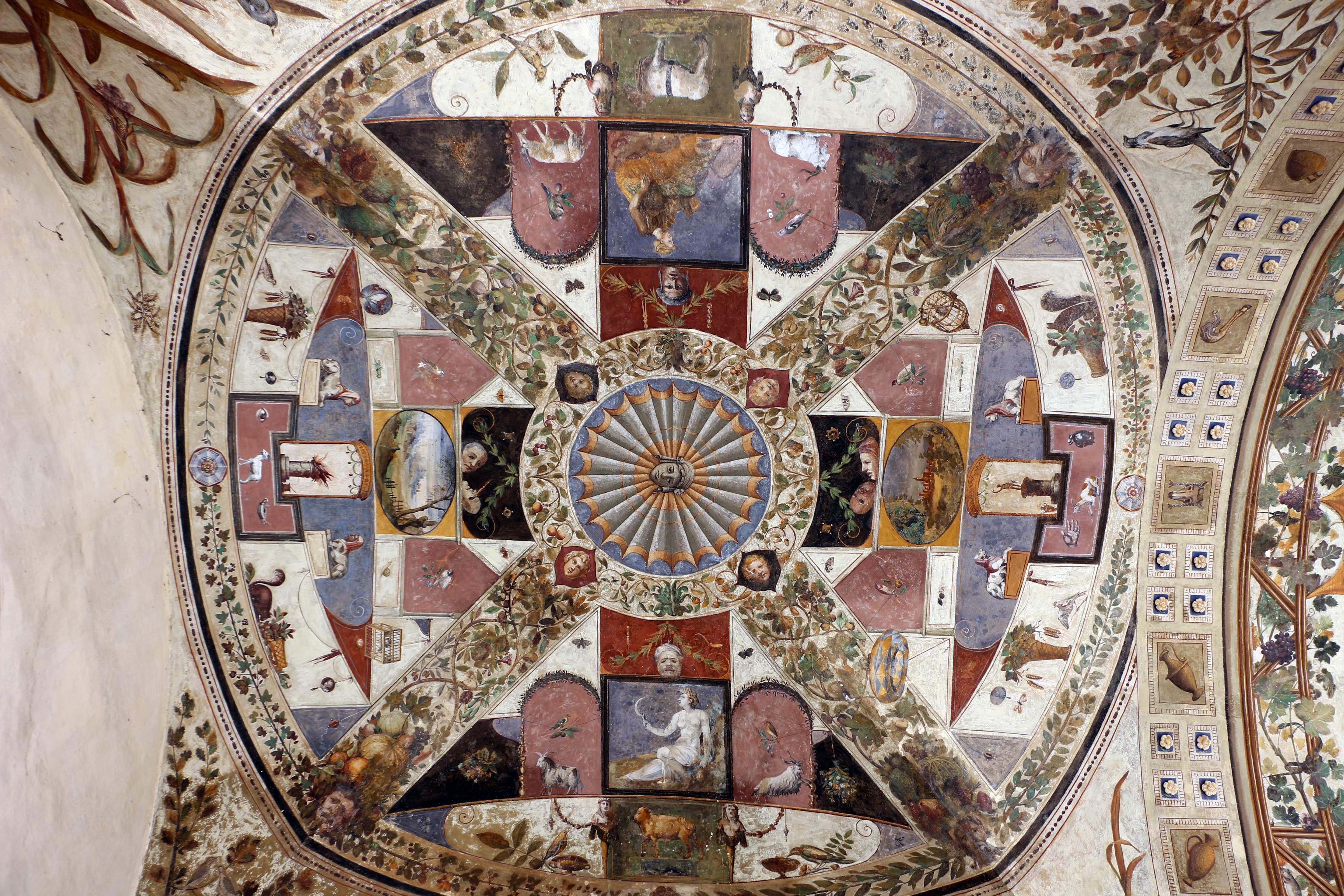 Giorgio di Giovanni, grottesche della loggia del cortile di palazzo chigi-saracini a siena, 01.JPG