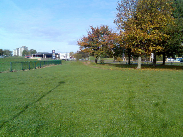 File:Grass by Great Western Road - geograph.org.uk - 587632.jpg