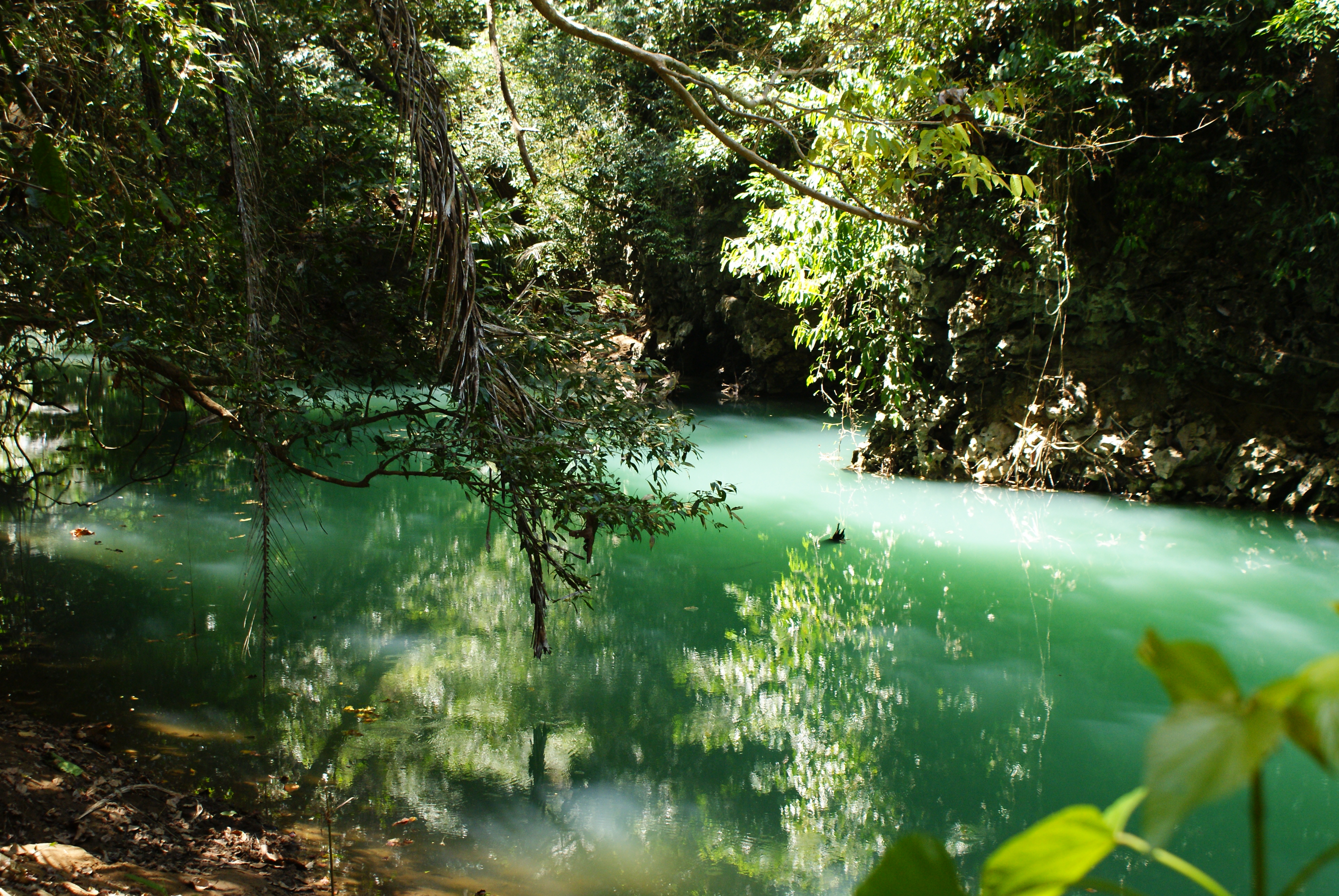 Green_river,_Bantimurung_National_Park.J