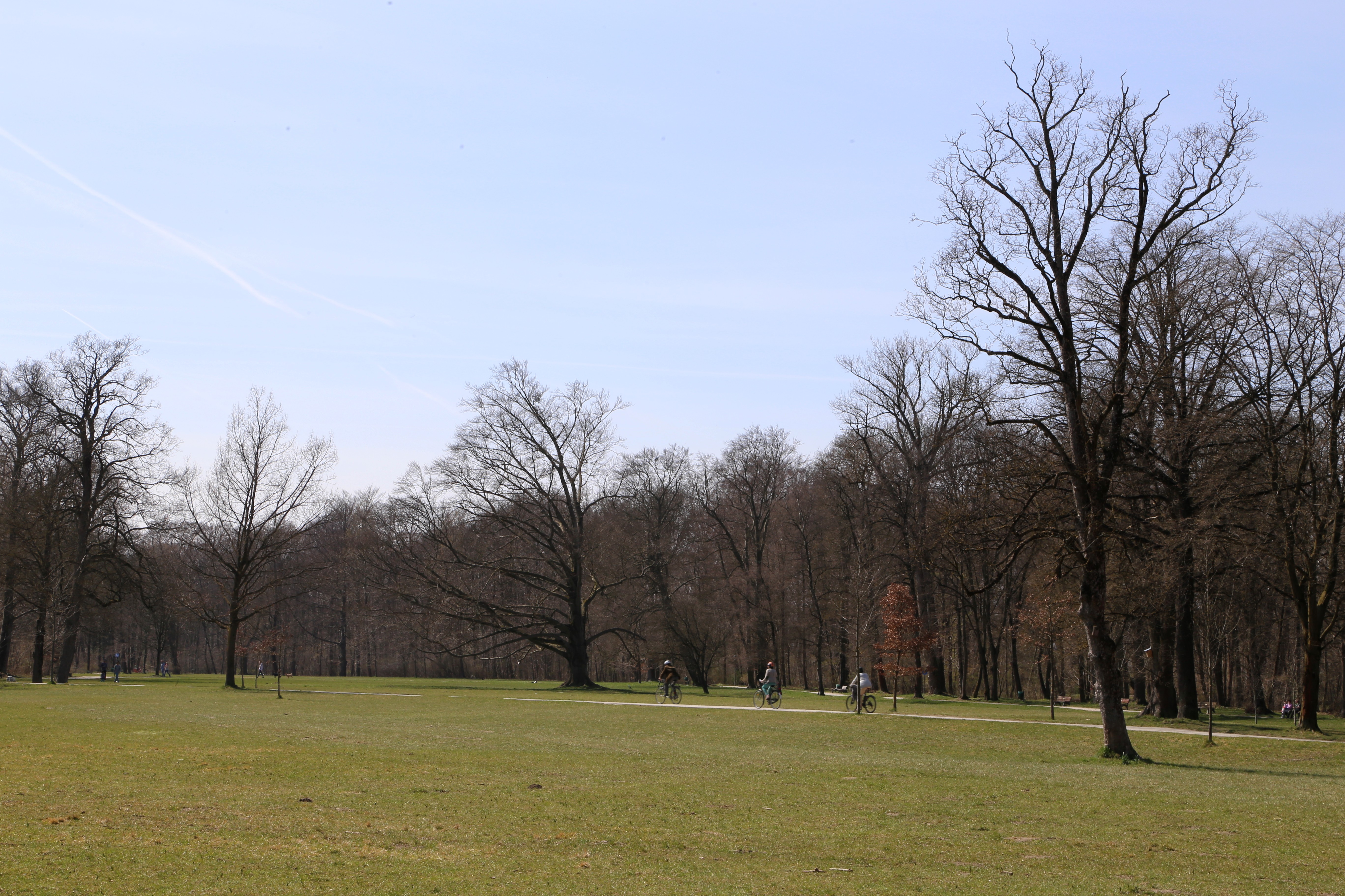 File Hirschau Englischer Garten Nordteil Muenchen 9 Jpg