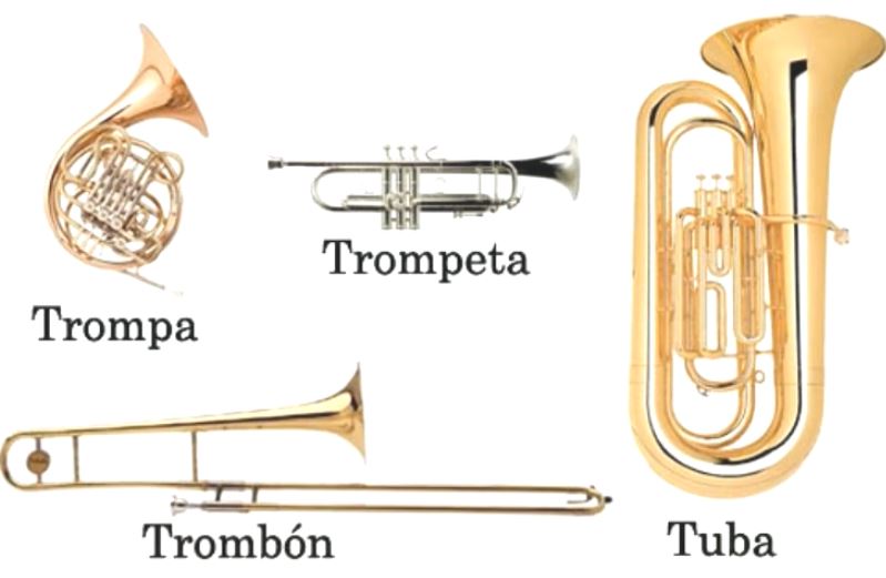 Memorizar latín seguramente Archivo:Instrumentos de viento metal.jpg - Wikipedia, la enciclopedia libre