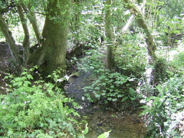 File:Lerryn headwaters - geograph.org.uk - 492648.jpg