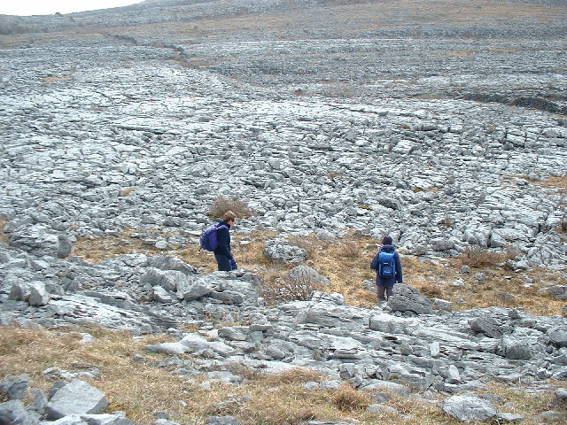 File:Limestone Formations, Burren - geograph.org.uk - 112831.jpg