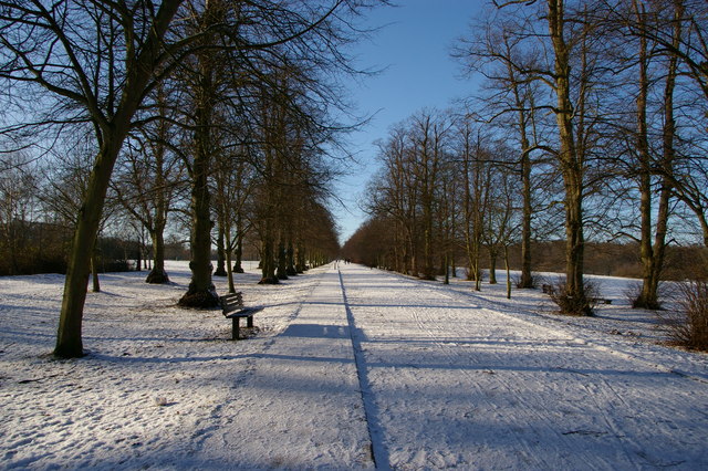 File:Main Driveway, Trent Park, London N14 - geograph.org.uk - 1631137.jpg