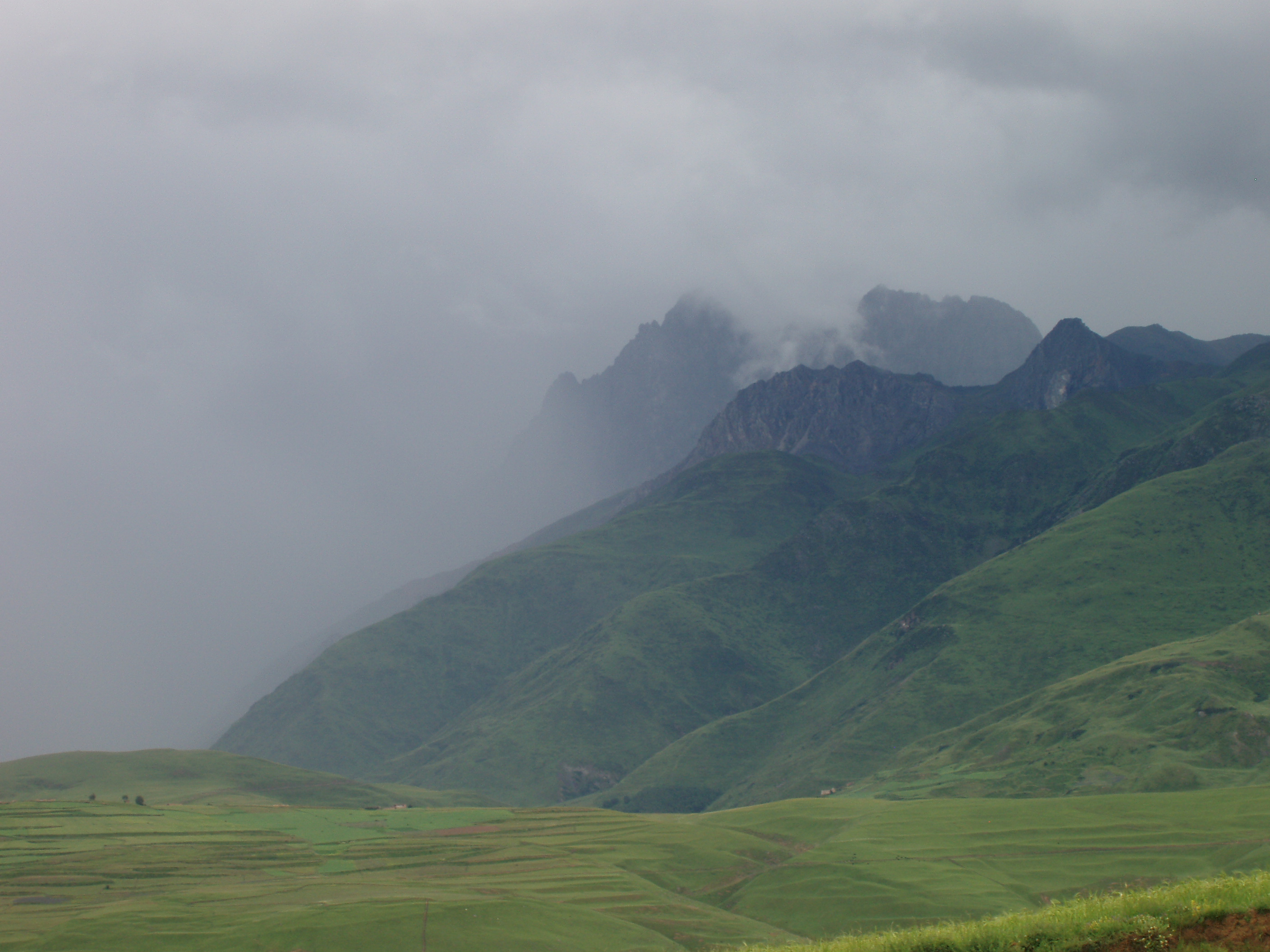 Misty mountains актриса фото