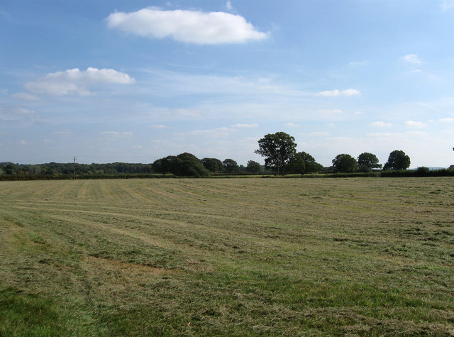 File:North Two Acres - geograph.org.uk - 1509671.jpg